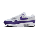 Nike Air Max 1 SC Field Purple