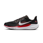 Nike Air Zoom Pegasus 41 Tampa Bay Buccaneers (2025) | IB3198-200