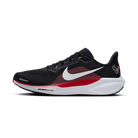 Nike Air Zoom Pegasus 41 Houston Texans (2025) | IB3195-400