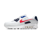 Nike Air Max 90 Euro Tour (2020)