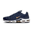 Nike Air Max Plus FFF | FB3350-400