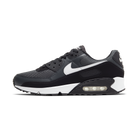 Nike Air Max 90 Iron Grey