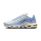 Nike Air Max Plus Daybreak (Women's) | DZ3670-004