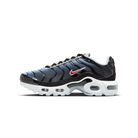 Nike Air Max Plus Blue Tint Rugged Orange (GS) | CD0609-023