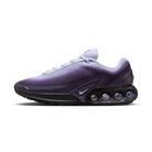 Nike Air Max Dn Dark Raisin Dusty Amethyst Black Amethyst Tint (Women's) | HQ4050-500