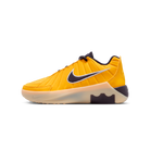 Nike LeBron Witness 9 Amarillo Soft Yellow Cave Purple (GS)