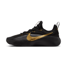 Nike LeBron TR 1 Black Metallic Gold | FJ6151-004