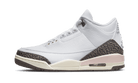 Air Jordan 3 Neapolitan