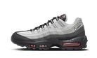 Air Max 95 PRM Fish Scales