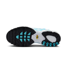 Nike Air Max Plus White Polarised Blue | 604133-135