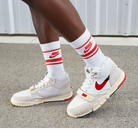 Nike Air Trainer 1 Split Chicago