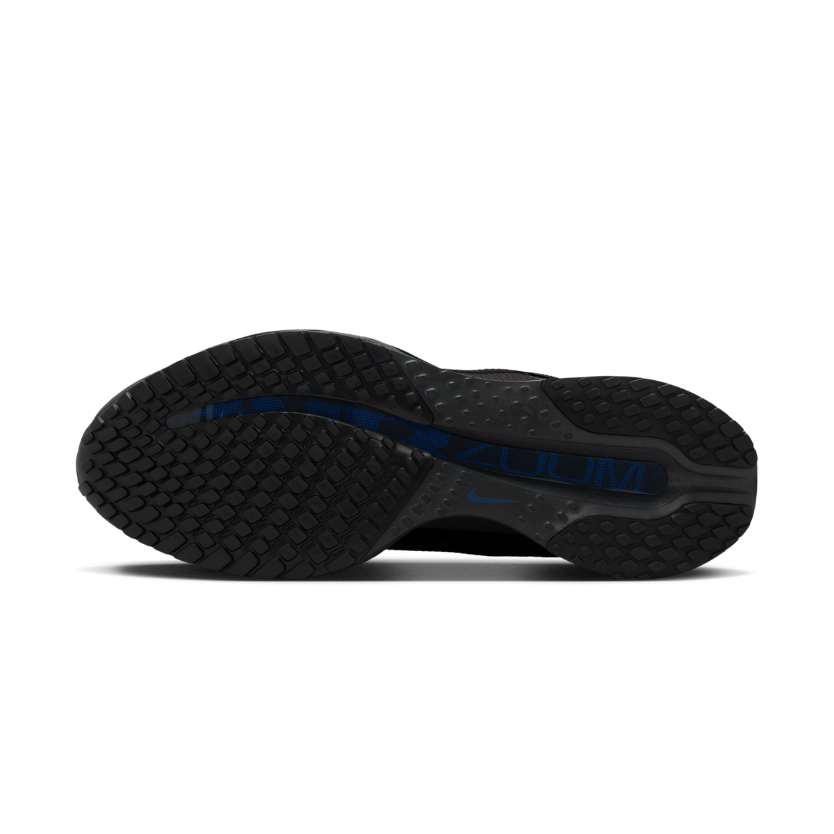 Nike Air Zoom Pegasus Premium Anthracite Game Royal | HQ2592-015