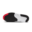 Nike Air Max 1 Live Together, Play Together