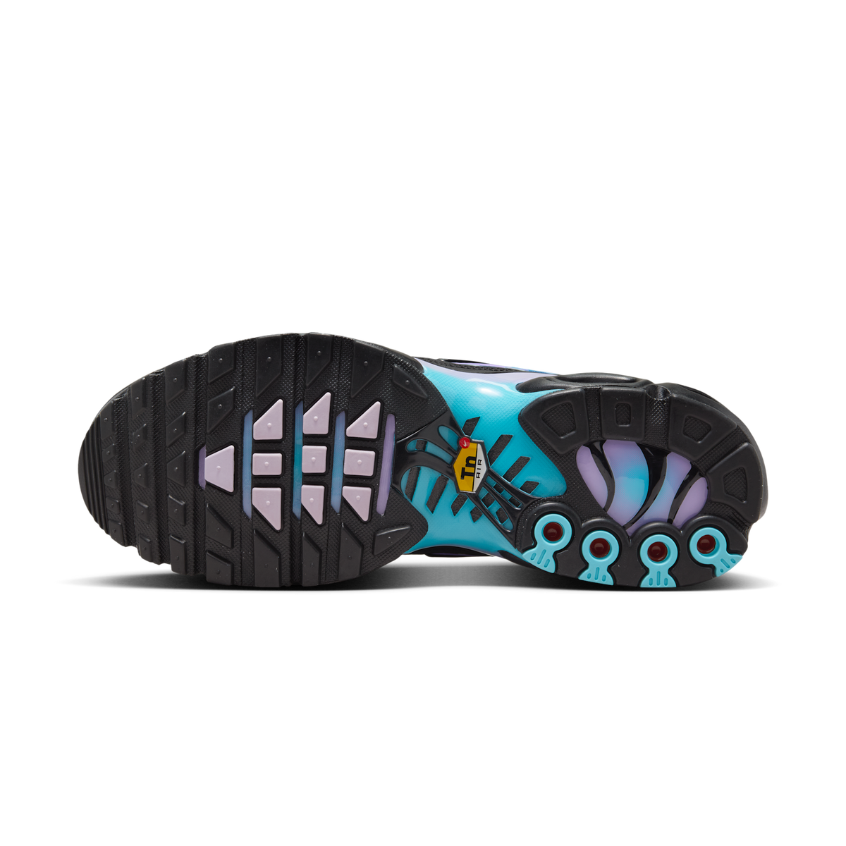 Nike Air Max Plus Black Hydrangeas (Women's) | HV2510-001