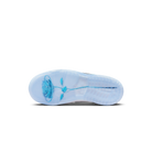 Nike SB Dunk Low April Skateboards (PS)