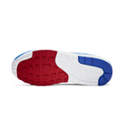 Nike Air Max 1 Puerto Rico (2019)