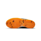 Nike Dunk Low Year of the Tiger (2022) (GS)