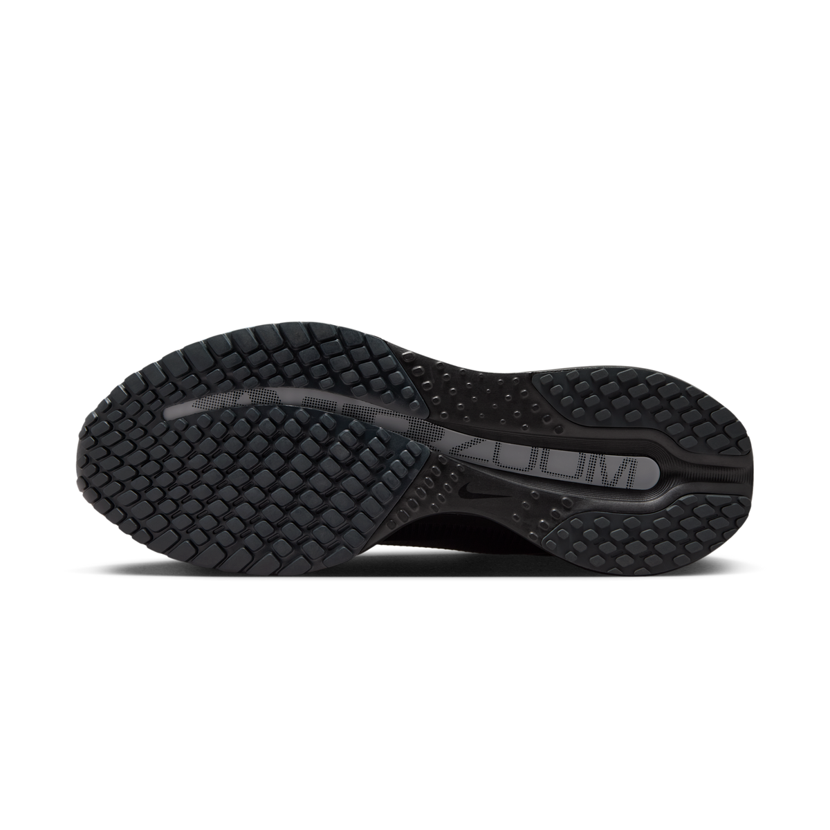 Nike Air Zoom Pegasus Premium SP Black Metallic Silver