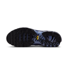 Nike Air Max Plus World Indigo | DM0032-404