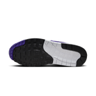 Nike Air Max 1 SC Field Purple