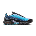 Nike Air Max Plus Black Hydrangeas (Women's) | HV2510-001