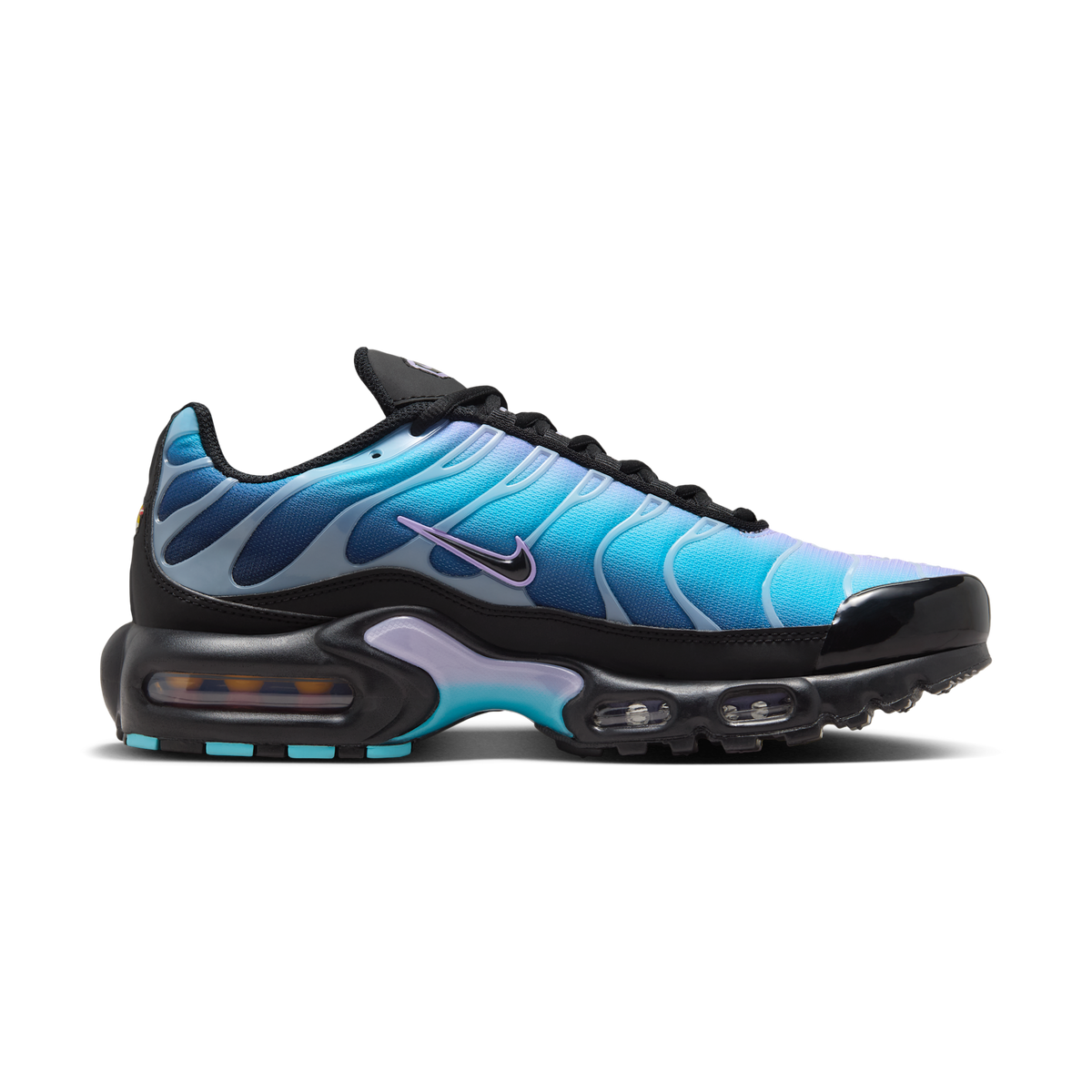 Nike Air Max Plus Black Hydrangeas (Women's) | HV2510-001