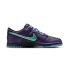 Nike Dunk Low LTD Wizard