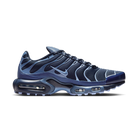 Nike Air Max Plus Obsidian Aluminum