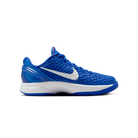 Nike Kobe 6 Dodgers (GS)