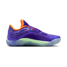 Jordan Zion 4 Rare Form