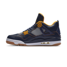 Jordan 4 Retro Dunk From Above