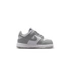 Nike Dunk Low Light Smoke Grey White (TD)