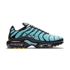 Nike Air Max Plus Aqua Blue | CV8838-400