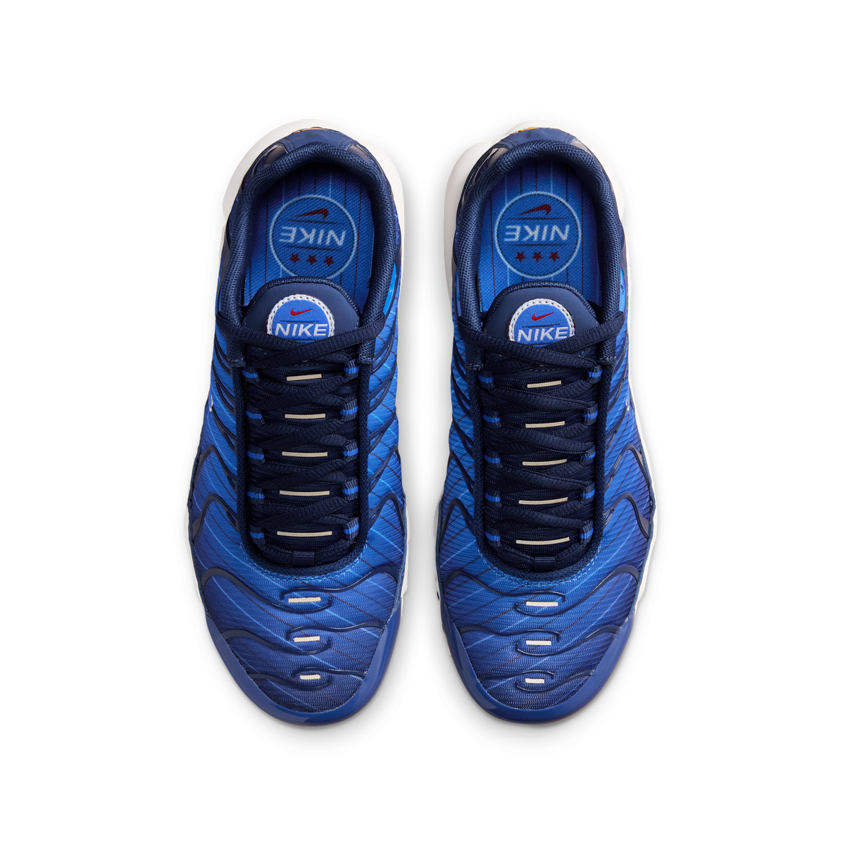 Nike Air Max Plus SE Lyon Blue (GS)