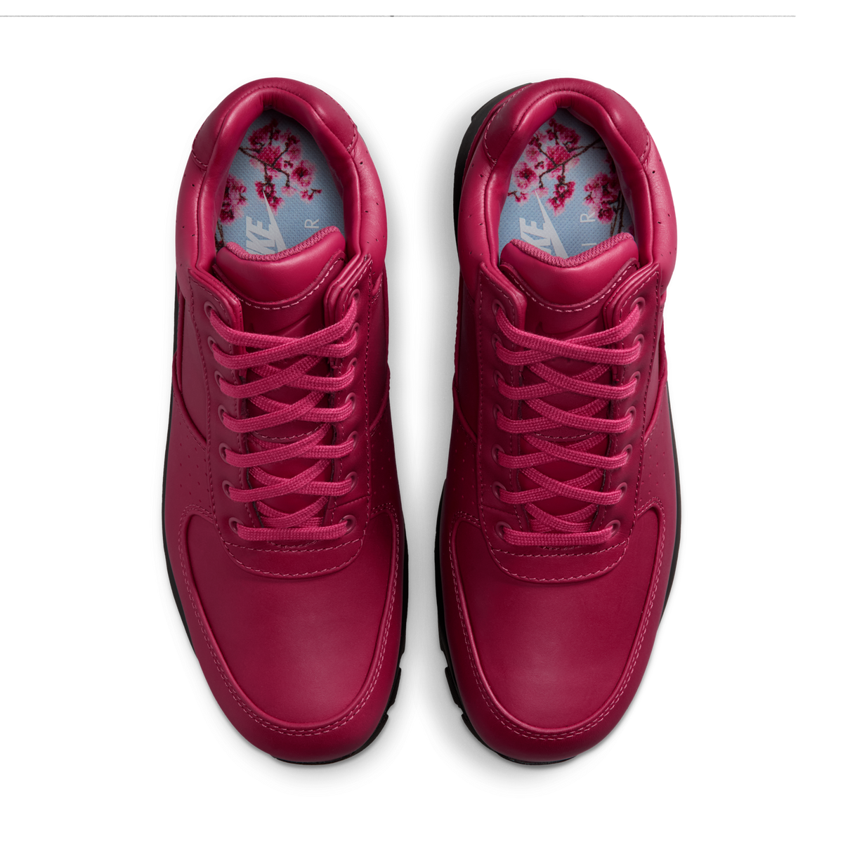 Nike Air Max Goadome DMV | IQ0610-633