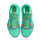 Nike Kobe 5 Protro Jalen Brunson NY vs. NY PE