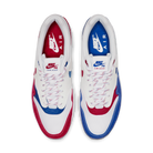 Nike Air Max 1 Puerto Rico (2019)