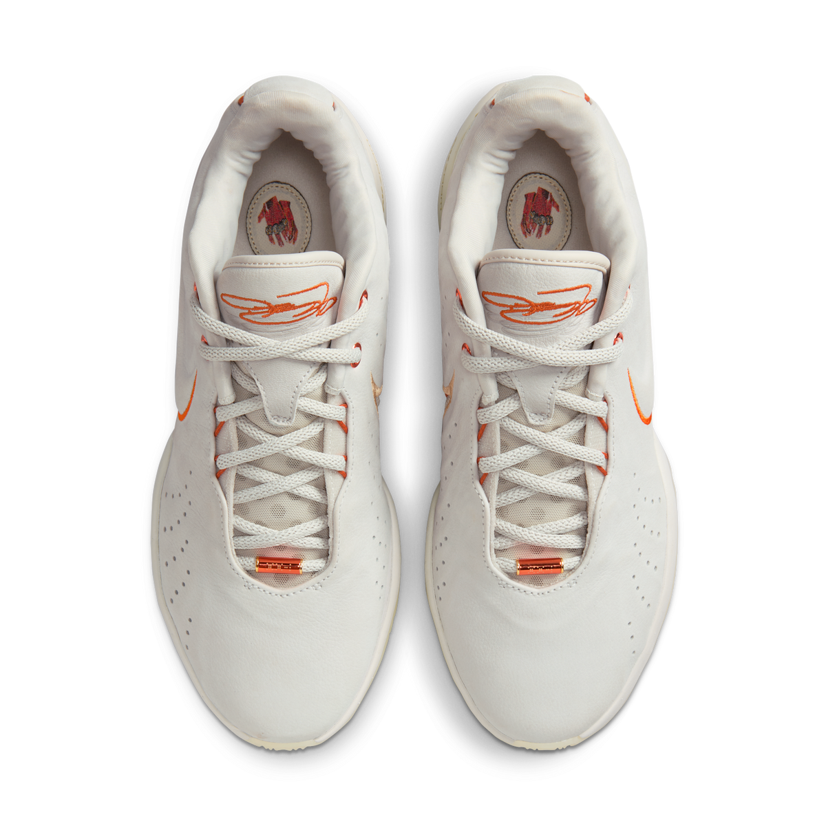 Nike LeBron 21 Akoya