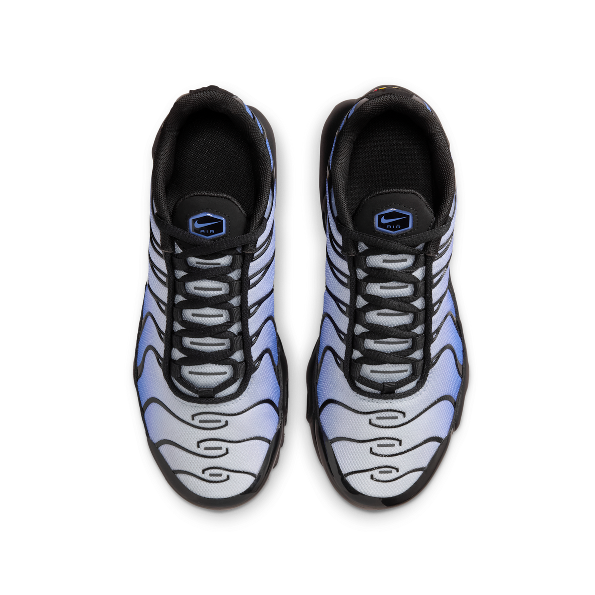 Nike Air Max Plus Black Sapphire (GS)