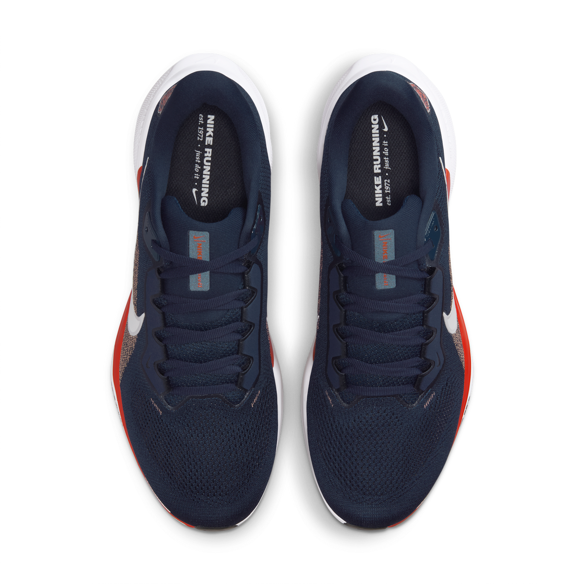 Nike Air Zoom Pegasus 41 Chicago Bears (2025) | IB3187-400