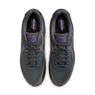 Nike Air Max 90 Iron Grey Wild Grape