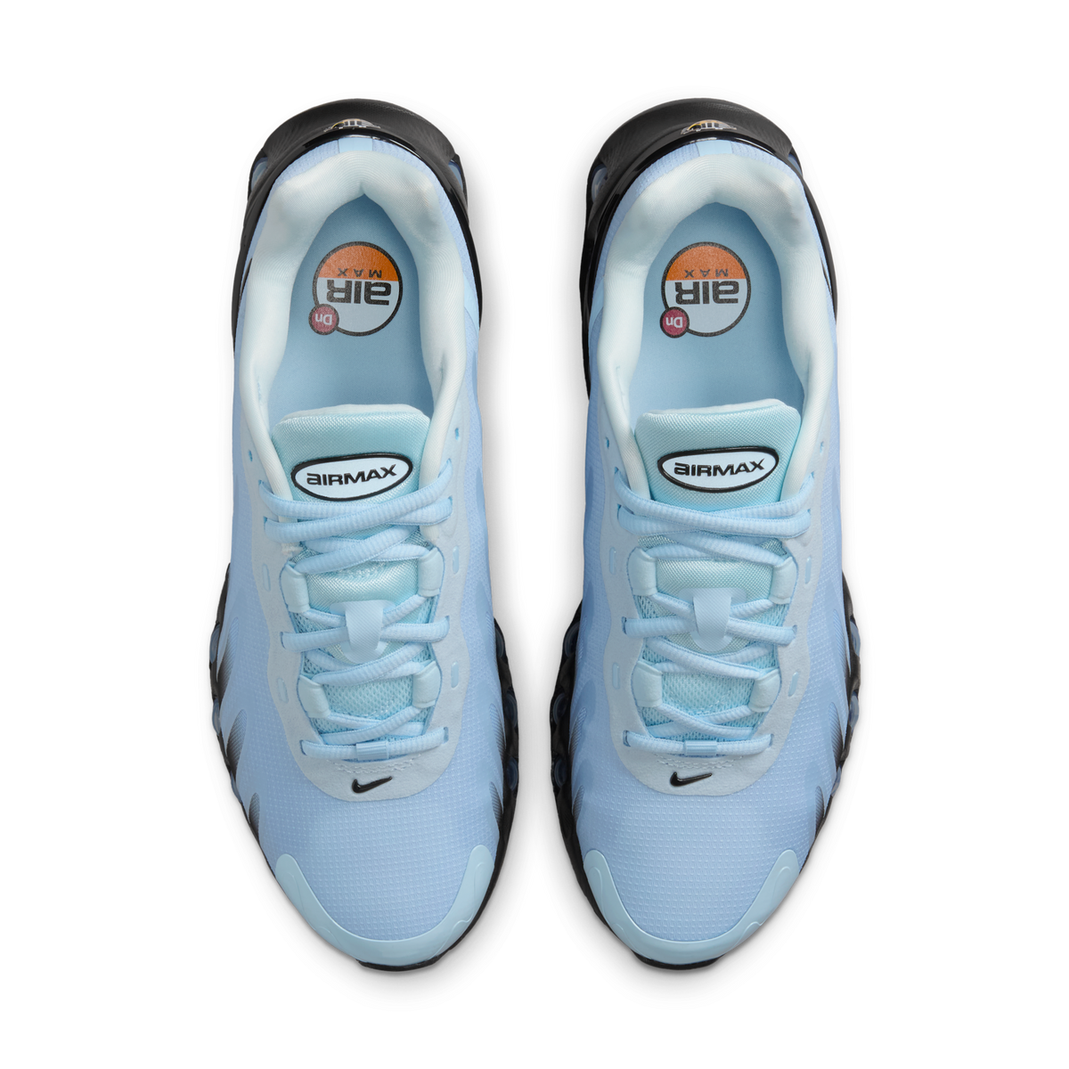 Nike Air Max Dn8 Cobalt Tint (Women's) | HF5509-400