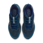 Nike Air Zoom Pegasus Premium Swarovski Blue Force (Women's) | IM7384-499