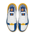 Nike LeBron 16 Superman SuperBron