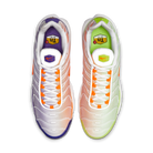 Nike Air Max Plus Color Flip Pack Grape | CI5924-531