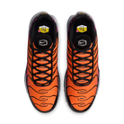 Nike Air Max Plus Desert Sunset