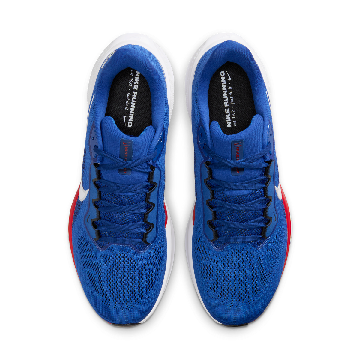 Nike Air Zoom Pegasus 41 New York Giants (2025) | IB3203-400