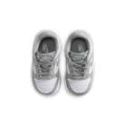 Nike Dunk Low Light Smoke Grey White (TD)