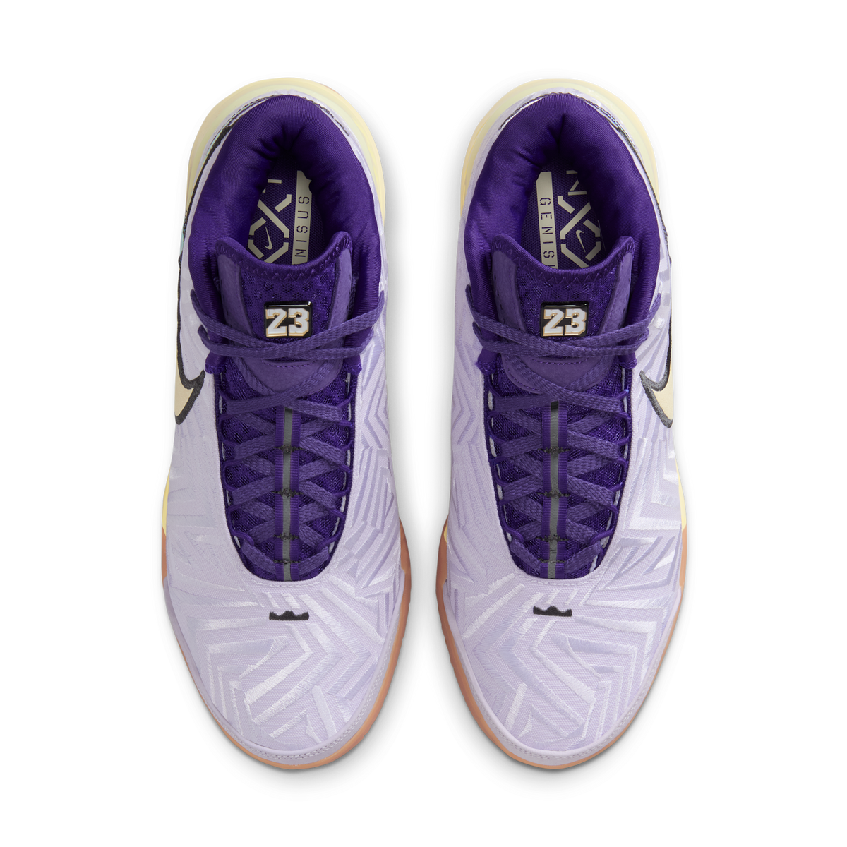 Nike Zoom LeBron NXXT Genisus Amethyst Tint Court Purple | IH2370-500