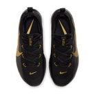 Nike LeBron TR 1 Black Metallic Gold | FJ6151-004